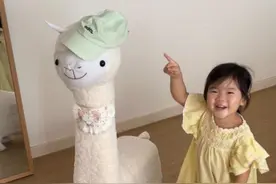 《奶爸日记》 铁总又有新宠物了！ #人类幼崽 #奶爸带娃 #萌娃日常 #宝宝日常vlog视频封面