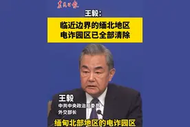 王毅：临近边界的缅北地区电诈园区已全部清除 #2025全国两会 #缅甸