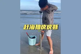 刮台风前遇上退大潮，学长带上大家去赶海抽斑马皮皮虾，每次去都像是在开盲盒，以为没什么收获，结果竟然抽了一两斤市场上都见不到的皮皮虾，条条爆膏的斑马皮皮虾，回家直接拿来做椒盐皮皮虾，鲜甜爆膏太好吃了！配上学长弟弟煮的螃蟹粥，太过瘾了！#赶海 #广东 #湛江 #家庭日常 #真实赶海