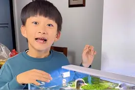 他想在鱼缸上面养鸭子，这样小鱼就有源源不断的鱼粮吃了！#孩子的世界很简单 #童年趣事 #鱼缸里的大自然 #养鱼日记视频封面