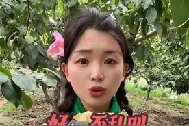 #林黛玉发疯文学#搞笑视频#幽默段子#万万没想到#万物皆可种草搜