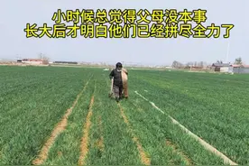 小时候不懂，特别想离开这里，向往着大城市的繁华，长大离家后，越来越想念家乡的一切，婆婆是 20 多岁的时候，和家里人生气，通过中间人介绍来到了河北石家庄赵县，一呆就是一辈子，现在父母都不在了，婆婆的心愿是再回老家一次，看看兄弟姐妹，就再也不回去了，婆婆说：远嫁真的是一场豪赌，一赌就是一辈子，有时候不是想回去就能回得去的#婆媳日常 #浇地 #农村生活 #朴实的劳动人民 #农民种地不容易视频封面
