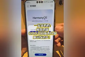 一起来看看: 纯血鸿蒙6.0.0.100版本升级 摩尔纹消失！