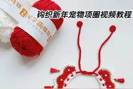 钩织新年宠物项圈视频教程 挂上小吊牌 猫咪戴上变身招财猫🐱 挂上小流苏 很灵动可爱 快学起来给家里小可爱安排上 🧵：@雪妃尔毛线  萌娃娃2号 🎨：02，29 🪡：2.0mm #钩织教程 #猫咪项圈手工编织 #钩织宠物项圈 #新年钩织 #钩织图解