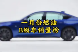 一月份B级车销量榜 第一名你绝对猜不到#国产车视频封面