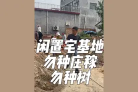 乡村宅基地闲置的，千万不能种庄稼和树，要不然建房就很困难！#宅基地 #宅基地建房 #新农人计划 #别墅设计 #专业的事情交给专业人去做视频封面