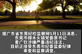 选择提前退休的“裸官”麦广钦，被查！任职地樟木头镇已有多人落马