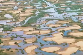 湿地秘境！连续8年的生态输水造就塔克拉玛干沙漠深处的湿地，沙漠与水相连、水与绿洲相接，宛如世外桃源。致敬所有治沙人！