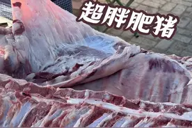 农村大肥猪超胖超大，一个后腿就七八十斤，肉膘子铮亮，特别好卖#新鲜猪肉 #放心肉 #新鲜肉 #猪肉价格#赶集