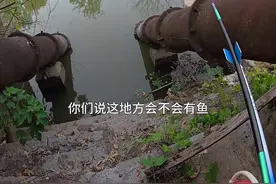 相信老爷爷的话准能钓着鱼 #原来钓鱼才是抖音运动顶流 #野钓大板鲫 #爱生活爱钓鱼 #钓鱼