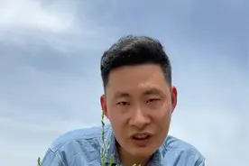认识农村常见的62种草本植物 这些植物大家都有见过吗？您又认识几种呢？又是怎么叫它们名字的呢？#你的家乡有这种植物吗 #植物科普 #一日一植物视频封面