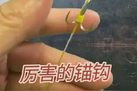 锚钩串联绑法@#钓鱼 #绑钩教程 #钓鱼技巧 #鱼钩绑法