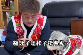 明天早上7点不见不散！松籽来了视频封面