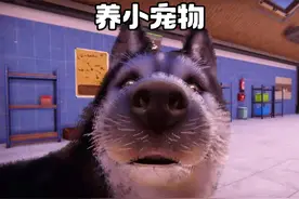 动物收容所2：除了动物啥都收，主打一个有爱心 #游戏