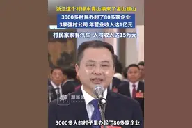 浙江这个村党委书记走上“代表通道”：绿水青山换来了金山银山，3000多村民办起了80多家企业，3家强村公司年营业收入达1亿元。村民户户都有小轿车，村民人均收入超过15万元视频封面