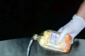 烧蚂蚁#红火蚁 #红红火火