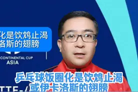 乒乓球饭圈化是饮鸩止渴 还是伊卡洛斯的翅膀#乒乓球 #国乒视频封面