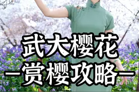 樱花烂漫几多时？柳绿桃红两未知。春暖花开，武汉下起了樱花雨，遍地都是浪漫#樱花 #武大樱花 #武汉 #樱花雨