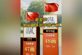 笔画最多的文字排行榜#数据可视化 #文字 #排行榜视频封面