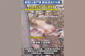 云南昆明一医院对面的非法屠狗场被查封，现场发现21条犬只尸体，救出活犬376条，负责人被警方控制视频封面