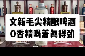 文新信阳毛尖精酿啤酒0香精喝着就是得劲！#刘文新 #左上知识产权视频封面
