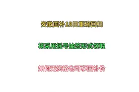 安徽国补已确定18日恢复！将采用摇号抽签方式领取