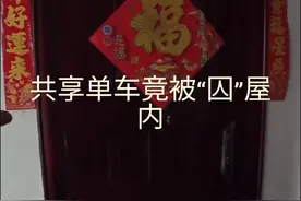 #共享单车 #共享单车找回名场面 #长视频vlog视频封面