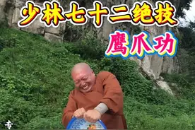 #高手在民间 #少林功夫