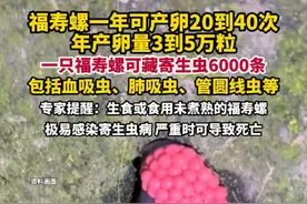 据钱江视频5月18日消息，一只福寿螺可藏寄生虫6000条！专家提醒：别吃福寿螺！别用手直接触碰福寿螺的卵！食用福寿螺极易感染严重可致死亡。