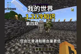 我的世界1.21冷知识第四期. #1点21冷知识#我的世界#冷知识#mc