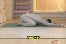 金刚趴您练对了吗 #疗愈 #一起来锻炼 #增强体质 #修心修性 #道家养生视频封面