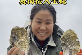 带你们看看，赶上海岛春季十级大风发海的这天，猜猜顶个大的生蚝，捡不完根本捡不完，又是一种什么体验#我的乡村生活 #渔民生活实拍 #赶海 #生蚝🦪