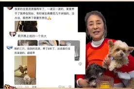 #李勤勤发文感谢网友关爱流浪狗 李勤勤才是狗狗神。#狗狗 #流浪狗