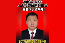 海南省三亚市人大常委会原副主任林有炽，被双开！视频封面
