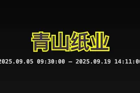 假如10天前买入100万 刺激，太刺激了！现在变多少？#青山纸业