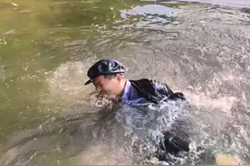 一时贪婪终身悔 #农村生活#乡村有趣事#内容启发搜索激励计划#创作者中心 #创作灵感视频封面