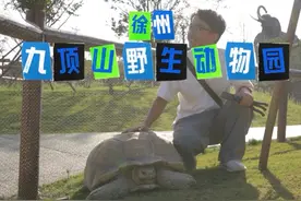 国庆节徐州九顶山动物园游玩攻略来啦，三大区域全部都有介绍到视频封面