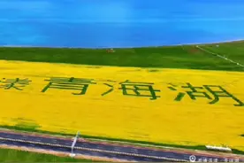 2025第二十四届环大美青海国际公路自行车赛7月5日西宁开幕 10日，2025第二十四届环大美青海国际公路自行车赛（以下简称“环青赛”）新闻发布会在西宁举行，发布会消息，本届赛事将于7月5日在西宁市隆重开幕，7月13日在海晏县闭幕。本届赛事历时8天，共设置8个赛段，总赛程达到1400公里，其中竞赛距离1325公里，转场距离65公里，荣誉骑行10公里。赛事吸引了来自全球四大洲11个国家的22支队伍、154名运动员参赛，包括1支世界顶级车队、8支职业车队和13支洲际车队，参赛阵容强大，国际影响力显著提升。#环湖赛 #大美青海欢迎您