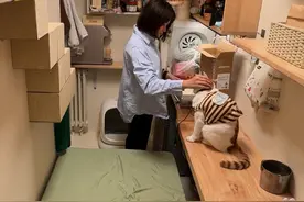 00后的北漂打工日记：奋战到底，同时保持快乐～ #北漂#工作vlog#00后#创作灵感视频封面