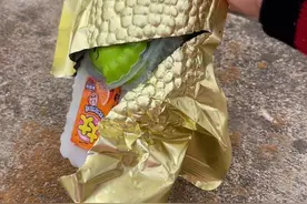 #这是什么奇奇怪怪的东西 #小宝宝爱看的视频玩具