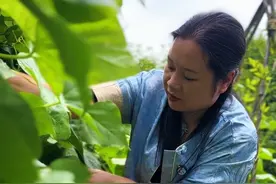 想外婆的豆包了，想小时候那一口难忘的味道#我的乡村生活 #新农人计划2025