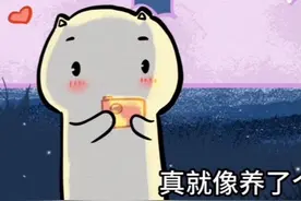 男生谈个比自己小的女朋友到底是什么样的体验呢#情感#情侣视频封面
