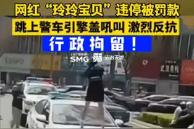 网红违停被罚款，情绪激动跳上警车！“玲玲宝贝”已行拘