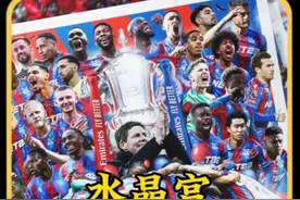 水晶宫夺队史首座大赛冠军，足总杯水晶宫1比0曼城，埃泽一剑封喉视频封面