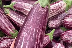 分享科普11种不同品种的茄子 #茄子