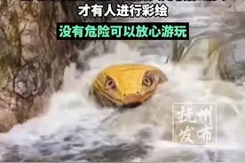 河南登封一景区石头被人画上彩绘，如同巨形蛇头在水中栩栩如生非常吓人，当地管委会回应：因石头比较像蛇头，才有人进行彩绘，没有危险可以放心游玩（荔枝新闻）