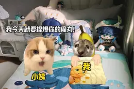 小姨要捏爆我的魔丸 #猫meme #小姨 #魔丸 #哪吒 #万万没想到