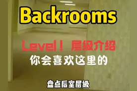 后室层级之level感叹号，非常经典的层级#backrooms #阈限空间