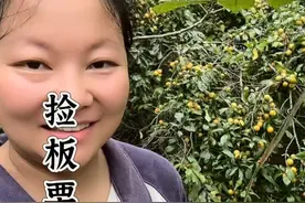 今天的这树李子，在无人的小角度绽放着独属于它的异彩！或许没有惊艳时光，但却真真切切的惊艳到了我#李子#板栗 #随时随地标记一下