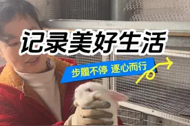 小妹家养的兔子，都能出栏了，一个月，两个月，三个月，四个月，五个月的，成年的都有，你们想吃还是想养。记得评论区里留言。 #农村生活 #土鸡蛋营养价值 #正宗农家土鸡蛋 #喂兔子的真正目的 #山村散养鸡 @抖音小助手。